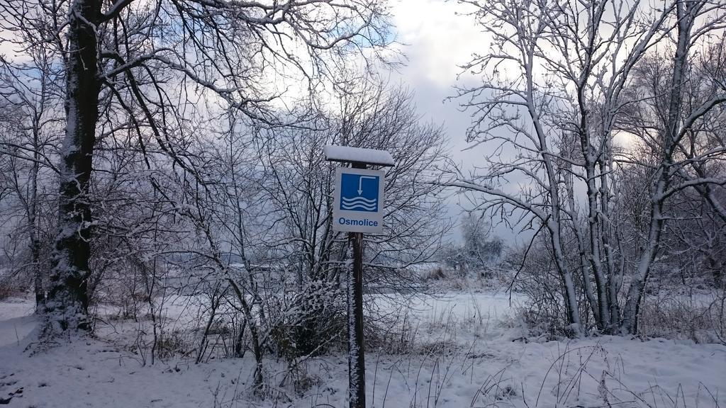Bed and Breakfast Dwor Osmolice Bialki Dolne Esterno foto