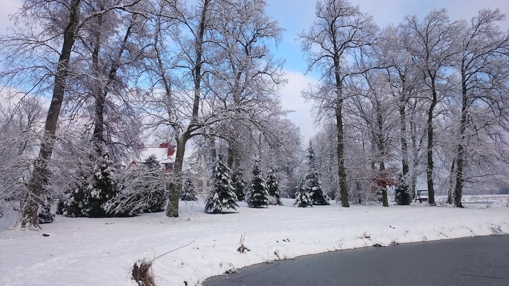 Bed and Breakfast Dwor Osmolice Bialki Dolne Esterno foto